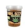 GINGER COOKIE KUSH GIRL SCOUT COOKIES DR. GREENLOV